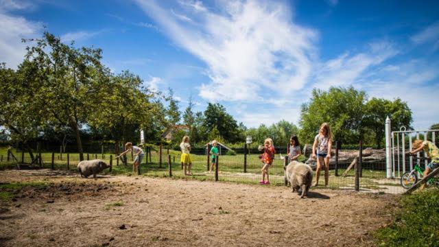 Welcome In - Oranjezon - Vakantiehuis 6 Personen Vrouwenpolder Exteriör bild